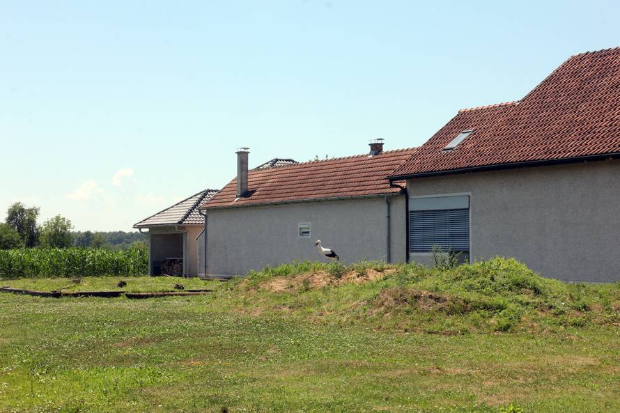 Male rode se drže skupa: Munje i vjetar ubili su im roditelje...