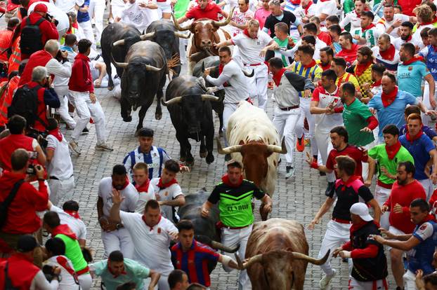Pamplona's San Fermin festival