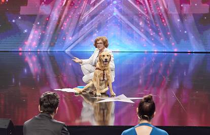 'Supertalent': Šestogodišnji labrador Bongo naučio je čitati