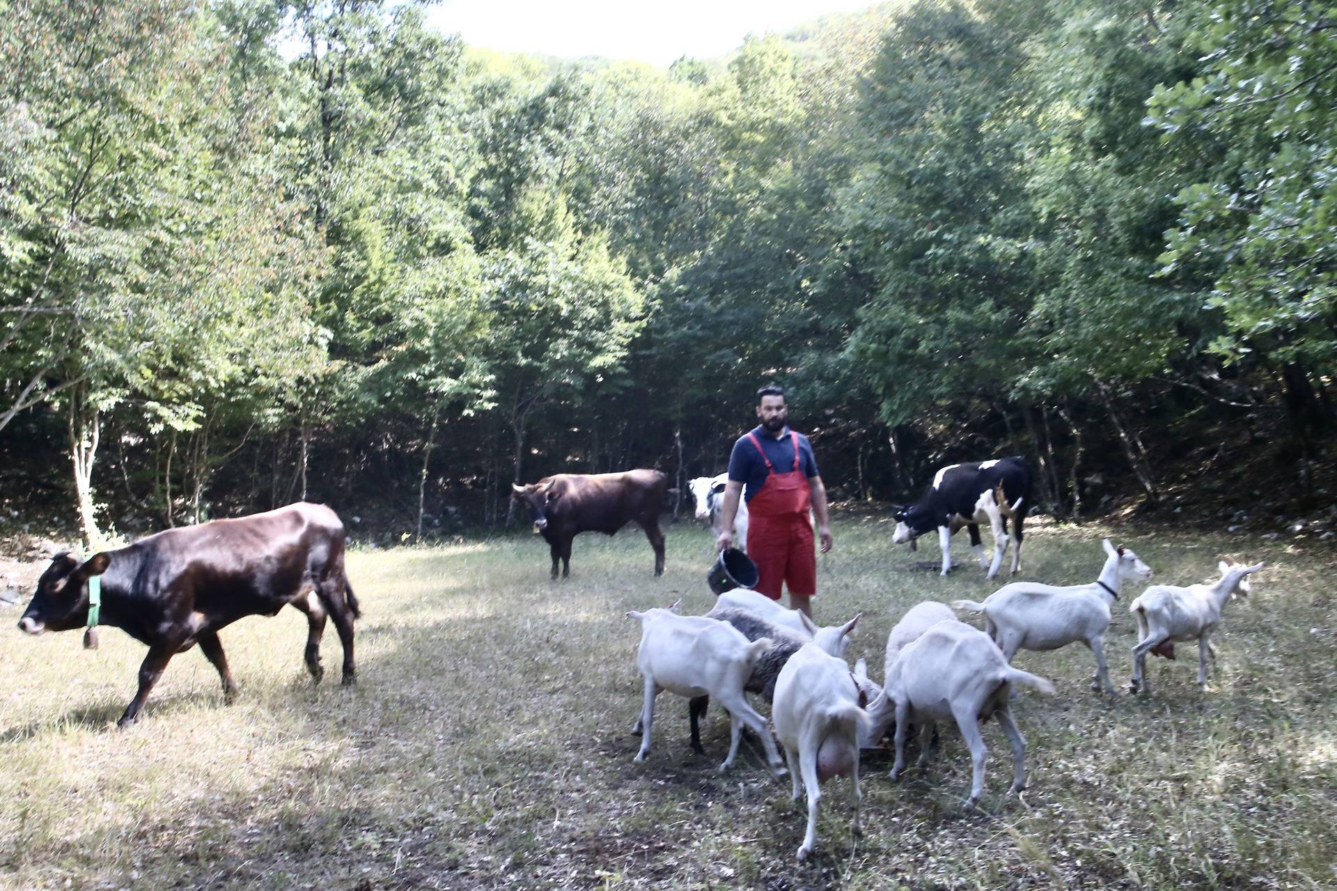 Čuvari tradicije - pastiri s Biokova