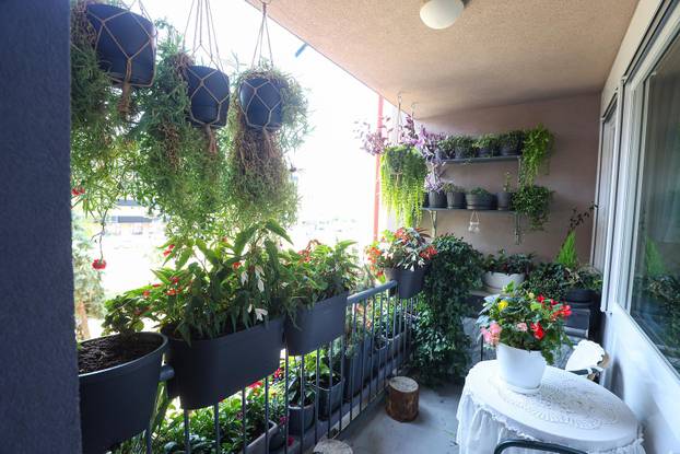 Zagreb: Jasenka Marija Kaštelan ima najljepši vrt na balkonu i ispred zgrade 