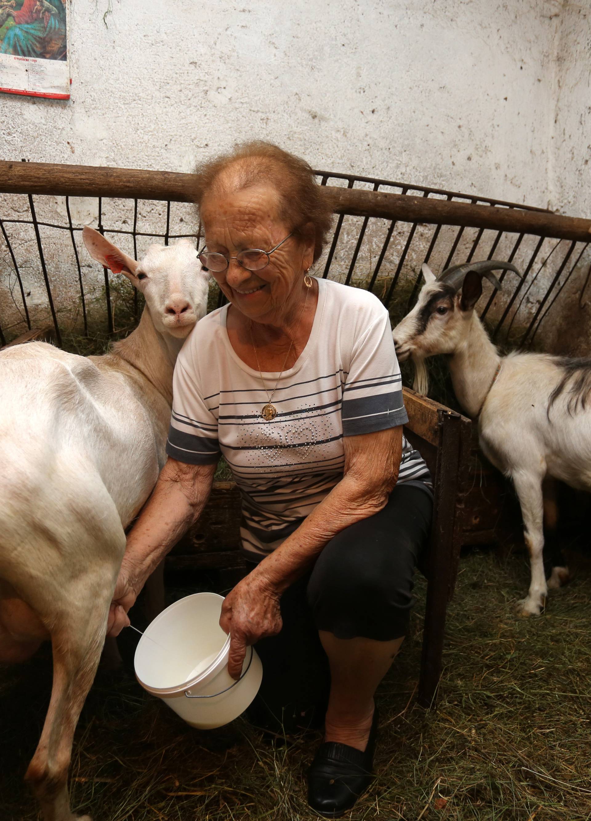 Superbaka Darinka (89): 'Ja sam mljekarica već 80 godina'