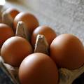 Oprez: Zbog salmonele povlače jaja domaćega proizvođača