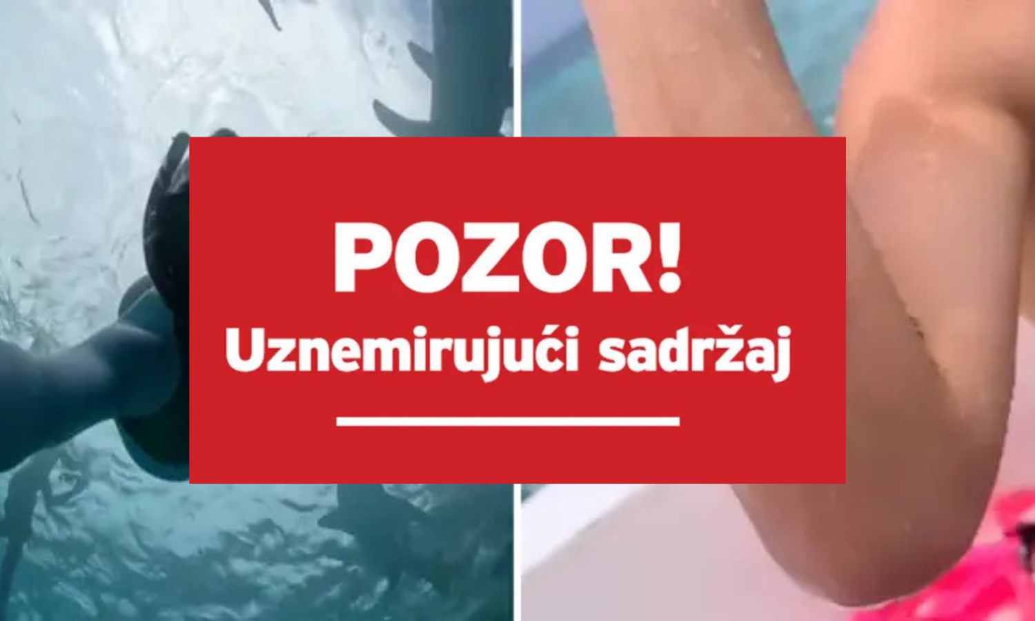 VIDEO Djevojku na Maldivima ugrizao morski pas, fanovi u šoku: 'Ma je li to Ela Jerković?'