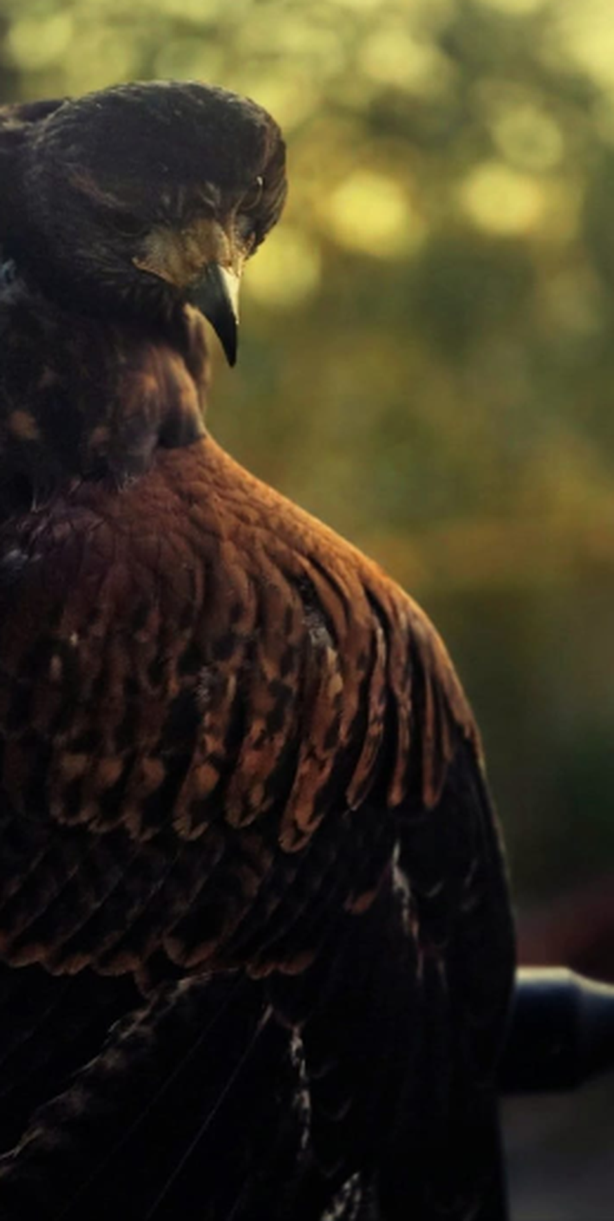 FOTO Svećenik Željko Lovrić: 'Društvo mi svaki dan prave Slavica i moj pas Dante..'