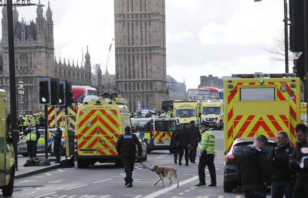 Emergency services respond after an incident on Westminster Bridge in London