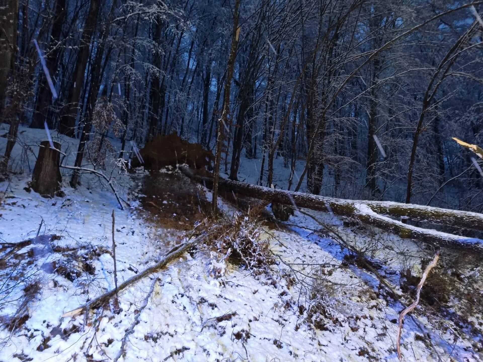 Posljedice vjetra, kiše i snijega u Hrvatskoj: Padala su stabla, nestalo struje, oštećeni auti...
