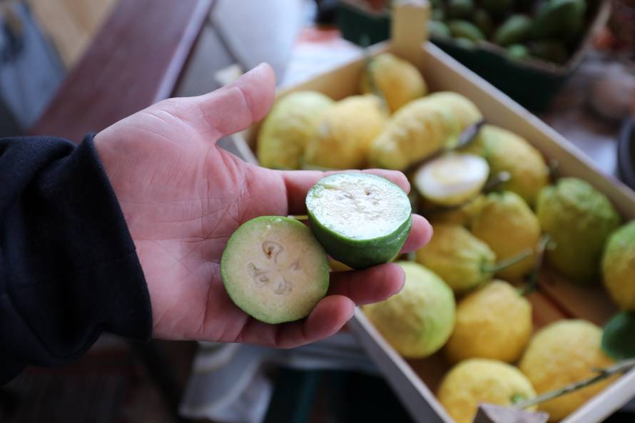 Fabio uzgaja čudne voćke koje vole svi: 'Hit su indijanske banane i peruanske jagode'