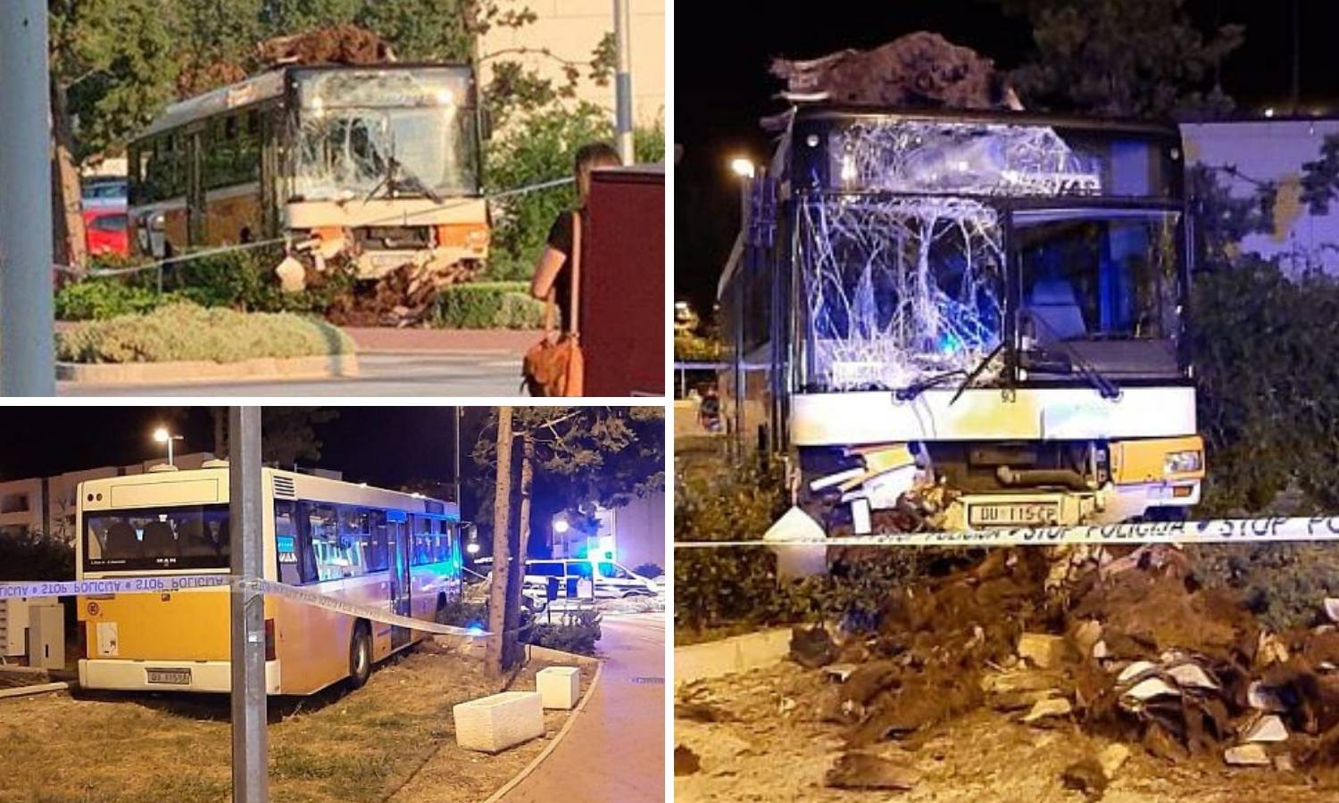 Goli do pasa ukrali autobus kod Dubrovnika, razbili ga i pobjegli