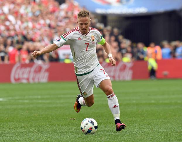 Euro 2016 Group F Iceland - Hungary