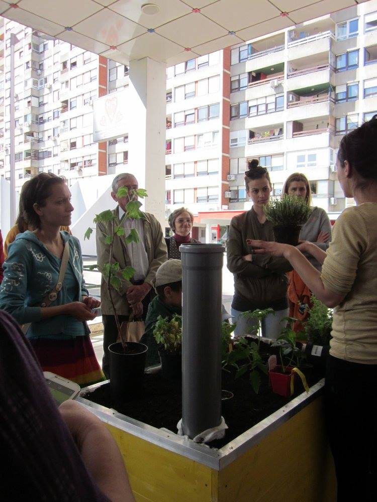 Radionica vrtlarenja: Naučite sami napraviti svoj vrt u gradu