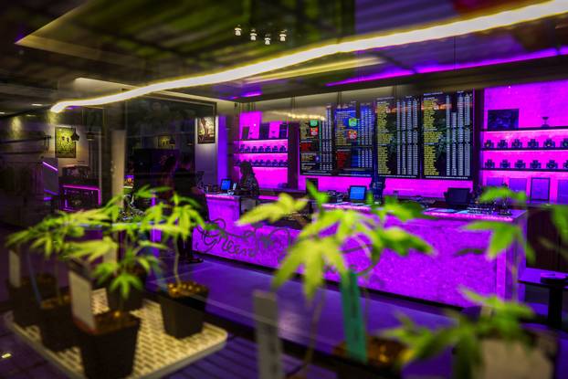 Thailand Moves to Recriminalize Marijuana