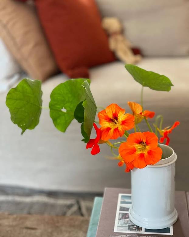 FOTO Tajne kralja cvjetnih aranžmana: 'S Majkom Terezom sam jeo uskršnji doručak'