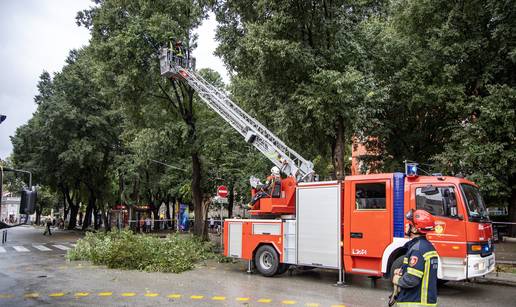 FOTO Nevrijeme u Puli: Stablo napuknulo, rušili ga vatrogasci