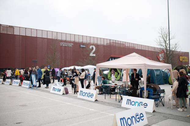 U Zaprešiću održana CAC nacionalna izložba pasa