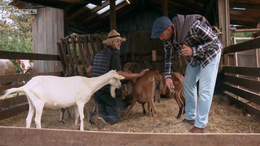 Jelena napustila imanje nakon uzbudljivog duela: 'Nemojte se puno svađati, to nema smisla...'
