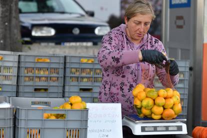 FOTO Neretvanske mandarine u Šibeniku, pogledajte cijenu...