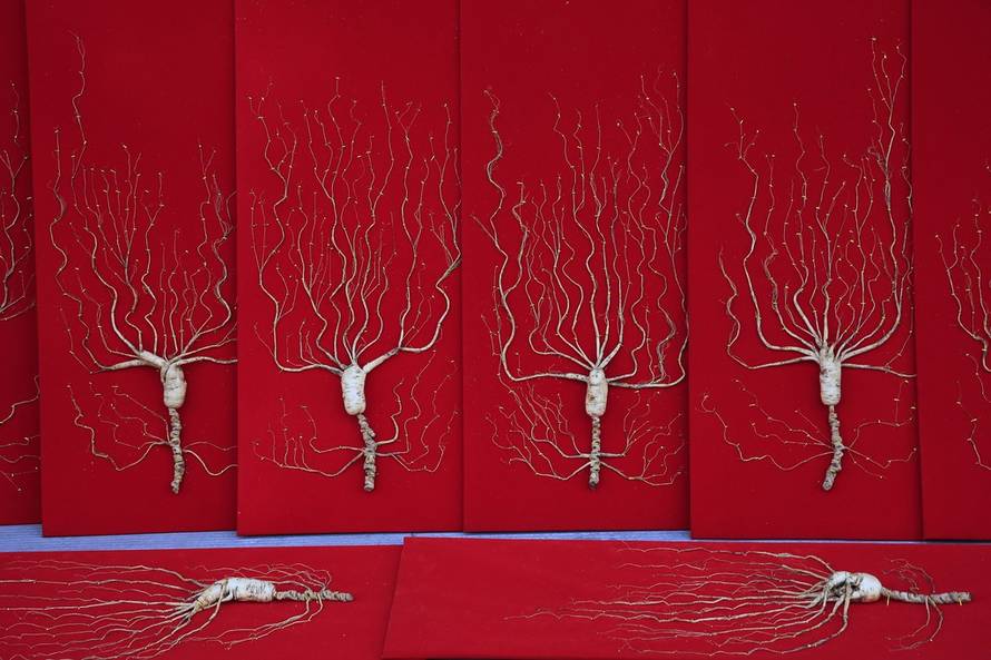 Reuters/Pixsell