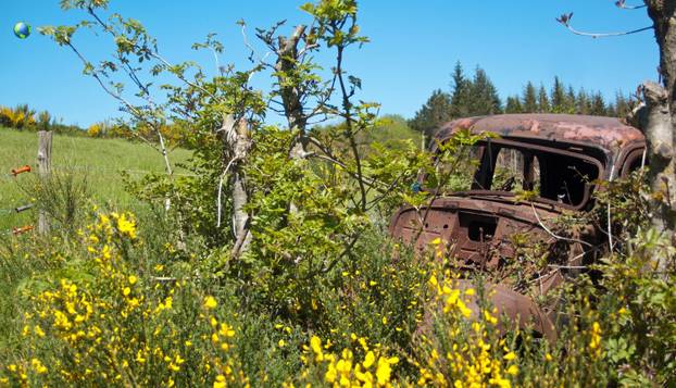 FOTO Evo kako bi izgledalo da ostanete posljednji čovjek na svijetu:  Priroda preuzima sve...