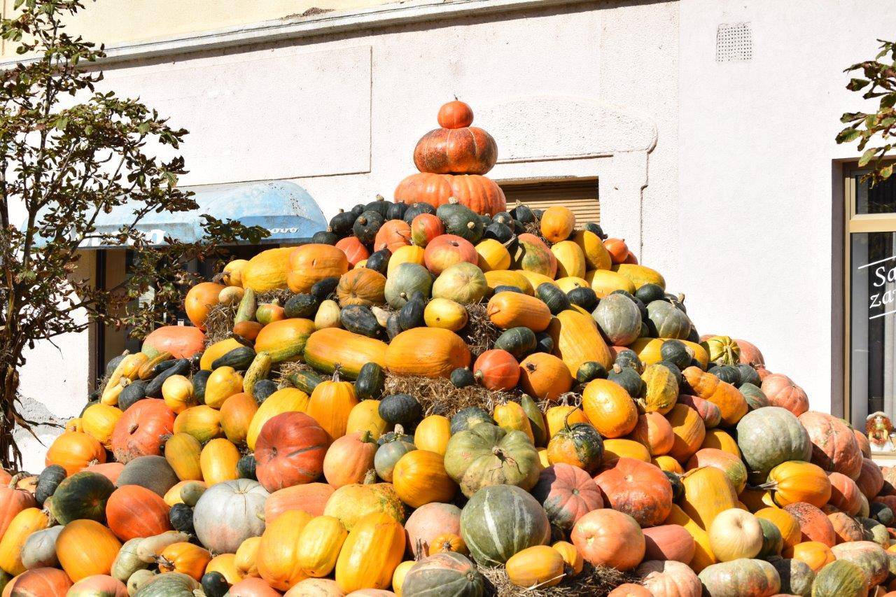 20. Bučijada u Ivanić-gradu – proslava tradicije, gastronomije i zabave