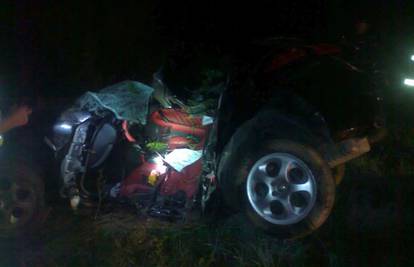 Vozač automobila je sletio s ceste kraj Vojnića i poginuo