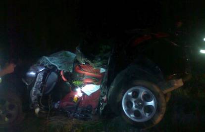 Vozač automobila je sletio s ceste kraj Vojnića i poginuo