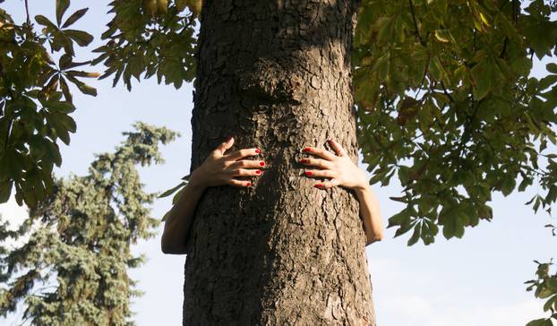 hands hugging a tree