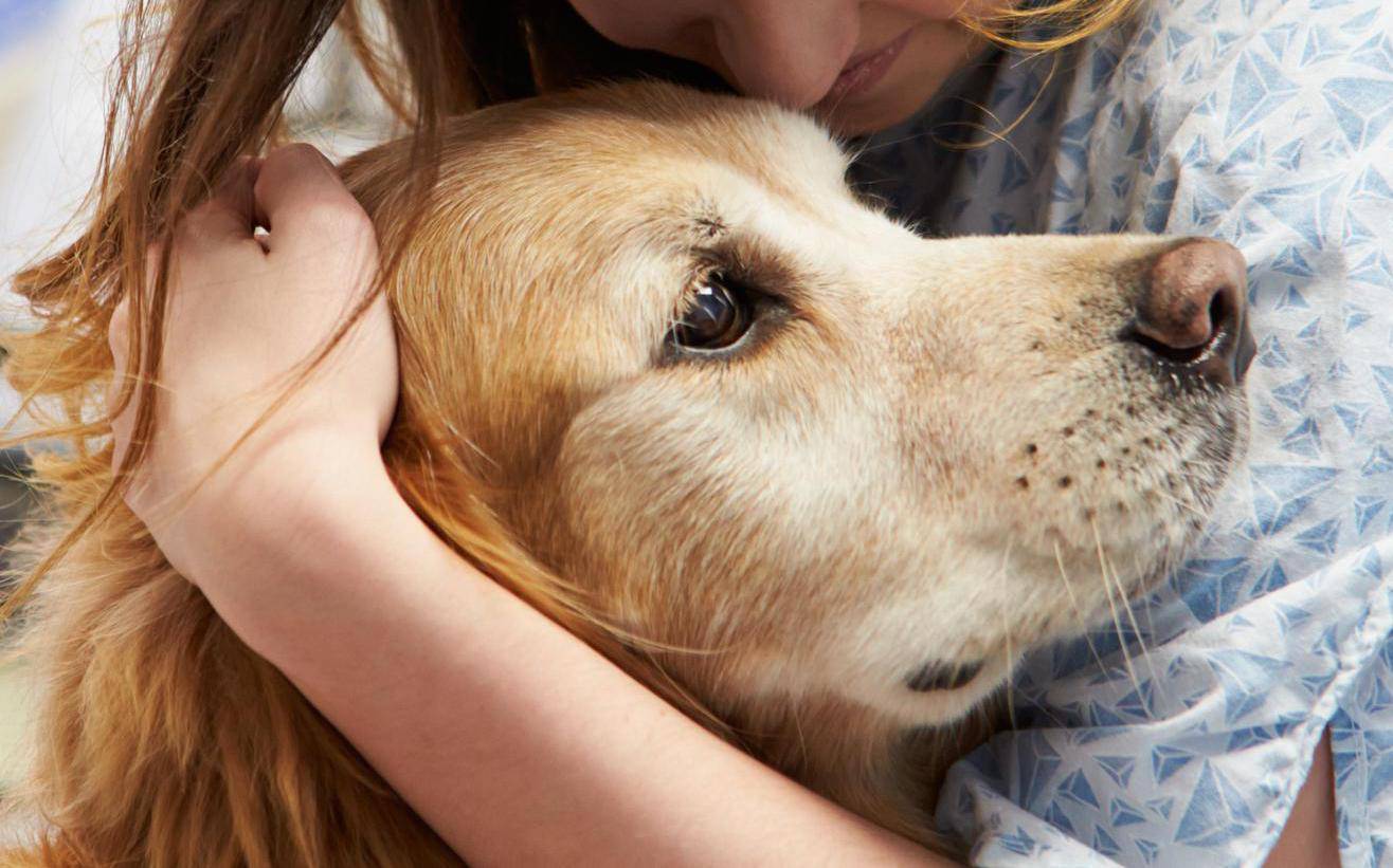 12 znakova upozorenja da pas možda ima rak negdje u tijelu
