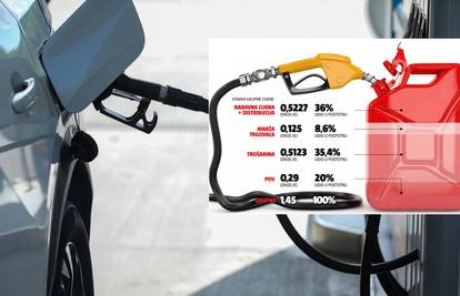I s ograničenjem i bez njega, država uzima lavovski dio od svake litre goriva. Evo izračuna