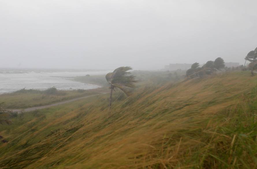 Palm trees bend in the wind as Hurricane Irma turns toward the Florida Keys on Saturday, in Havana