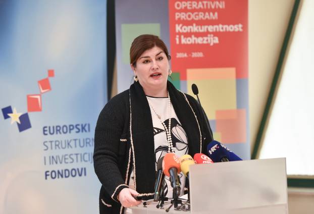 FOTO Danas odluka o nagodbi za Žalac, pogledajte kako se bivša  ministrica mijenjala