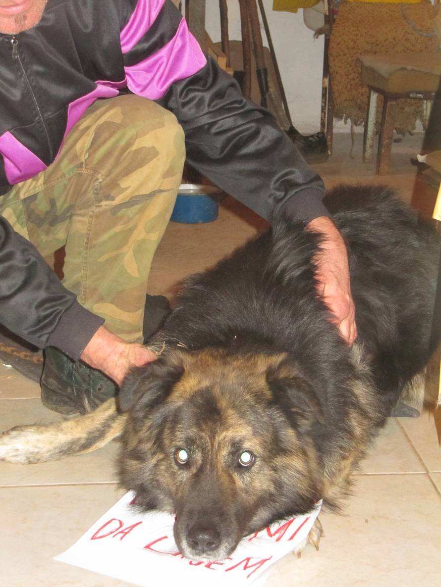 Dijana Marić/24sata