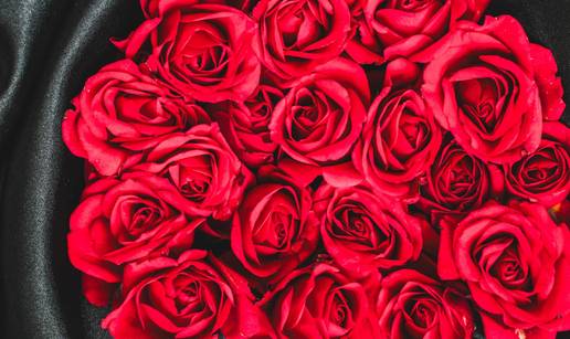 Pazite koje cvije&cacute;e poklanjate za Valentinovo, evo koju poruku &scaron;alje crvena ru&zcaron;a, &zcaron;uta, bijela...