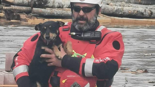 HGSS spasio psića iz poplave