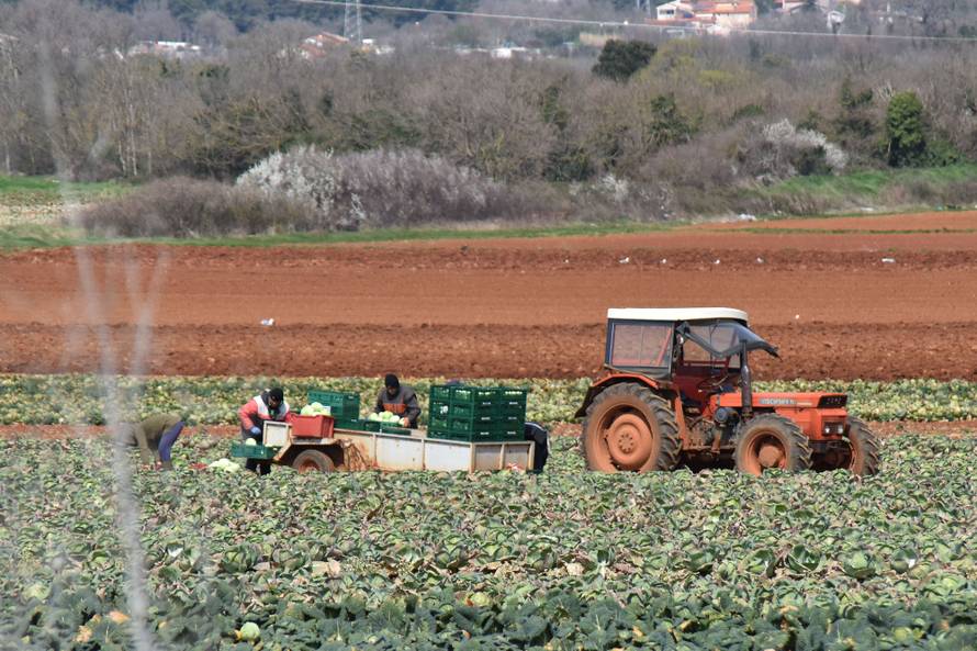 'Na izbore se sad može, mene su kaznili jer sam vozio gnoj!'