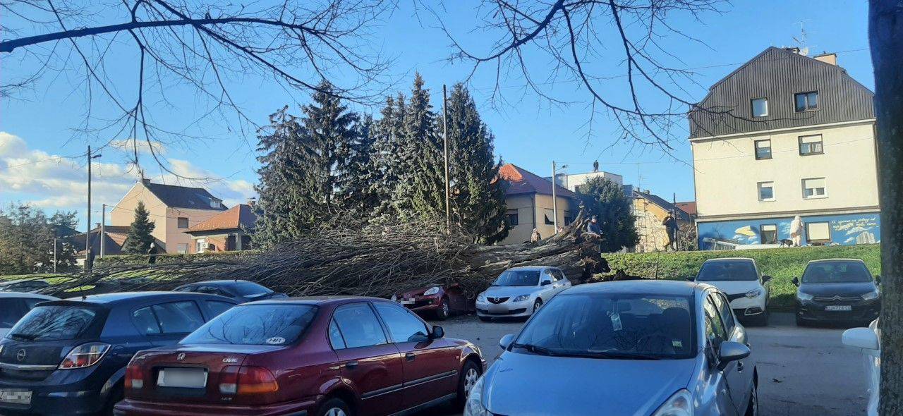 U Osijeku i Zagrebu drveće je padalo na aute, kod Virovitice jak vjetar bacio krov na školu