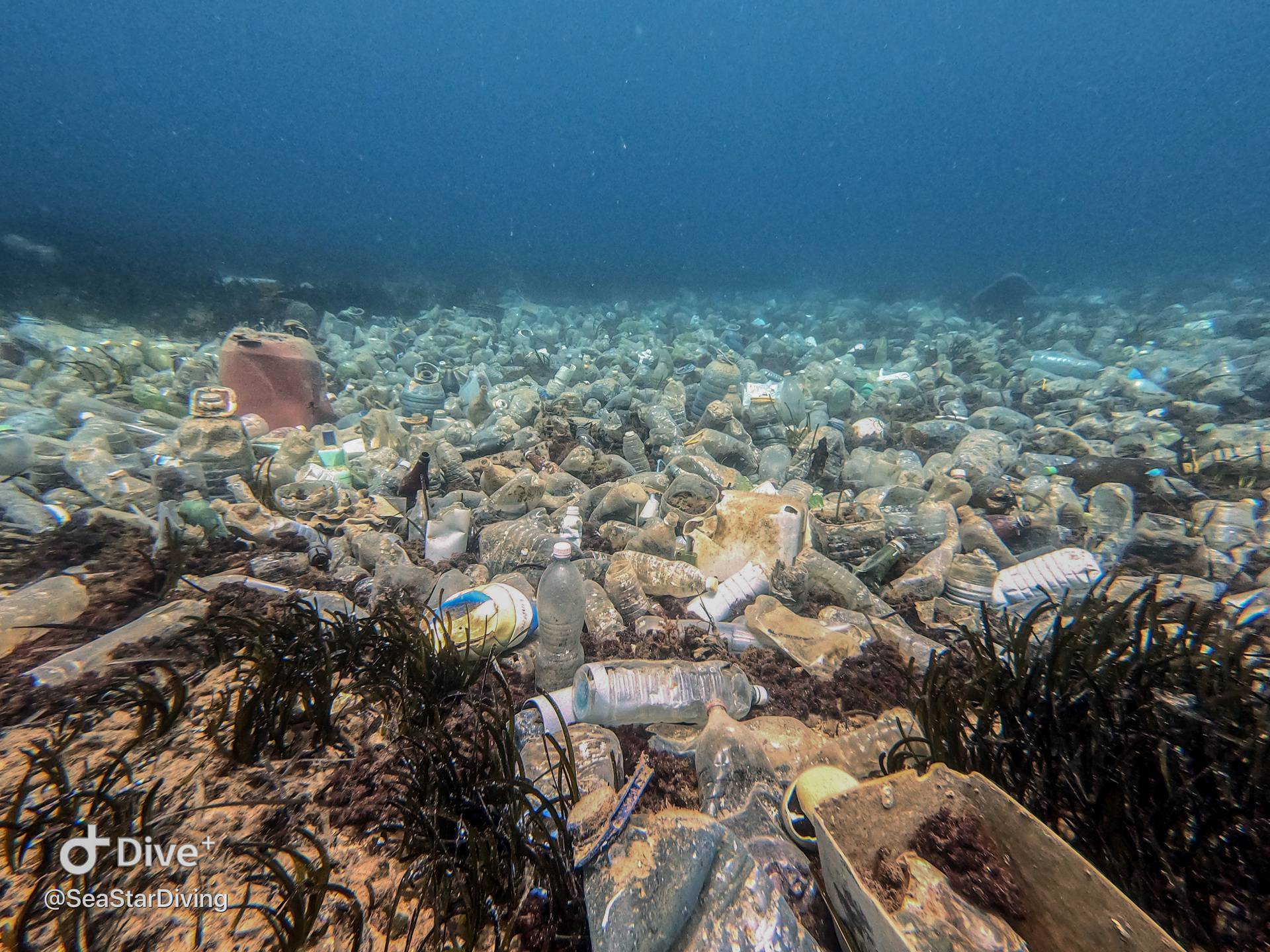 Dramatični prizori: Podmorje nam ubija plastika iz susjedstva