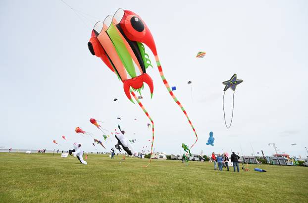 Kite festival by the sea
