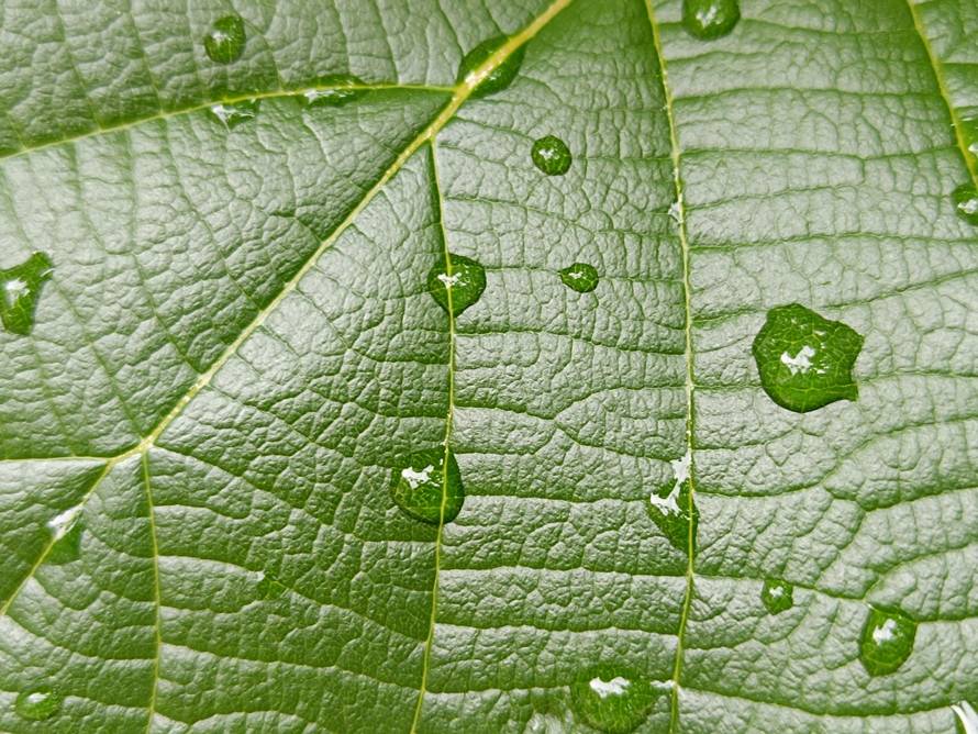 Borba srednje klase: Isprobali smo Xiaomi Redmi Note 12 Pro