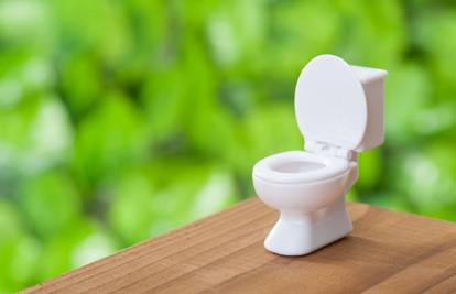 Kad 'stisne' u gradu: Aplikacija 'Flush' pomaže pronaći dostupni WC gdje god se nalazili