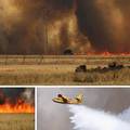 Požari haraju Europom: Dvoje je ljudi poginulo u Španjolskoj, u Portugalu gori 30.000 hektara