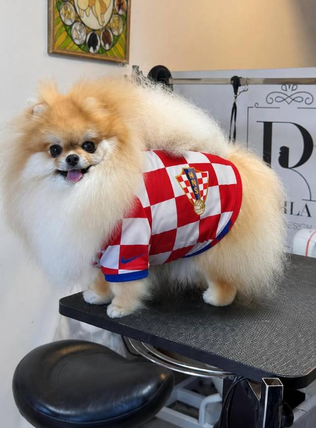 ŠAPE GORE! Ovako navijaju za repku ljubimci naših čitatelja