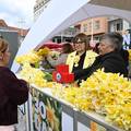 FOTO Dan je narcisa: &Zcaron;uta boja preplavila ulice diljem Hrvatske