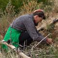 Posadi drvo i pomozi obnoviti opožarena područja Dalmacije