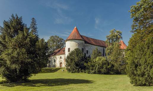 In Cultura Veritas  - Od Ferdinog brka do Beethovenove ljubavi