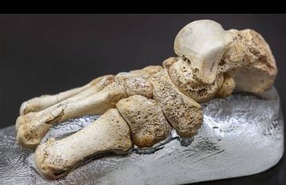 Iz kosti stare 400.000 godina izvukli DNK, šokiralo ih otkriće