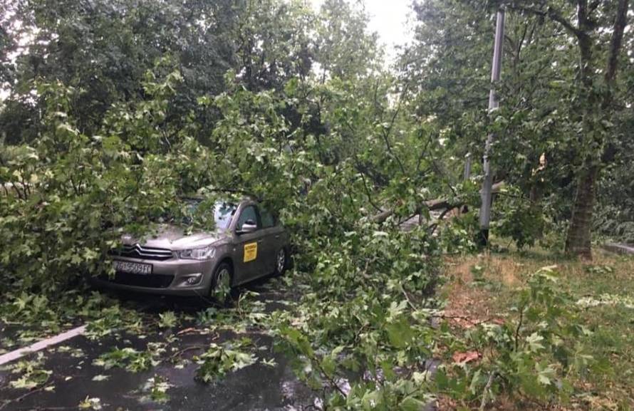 Djevojku na satu vožnje ulovilo nevrijeme: 'Išli smo se skloniti i tada je na auto palo stablo...'