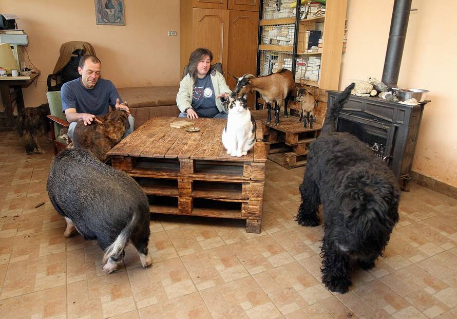 Željko Hladika/Pixsell