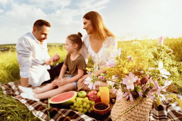 Happy family spending time together on a picnic outdoors