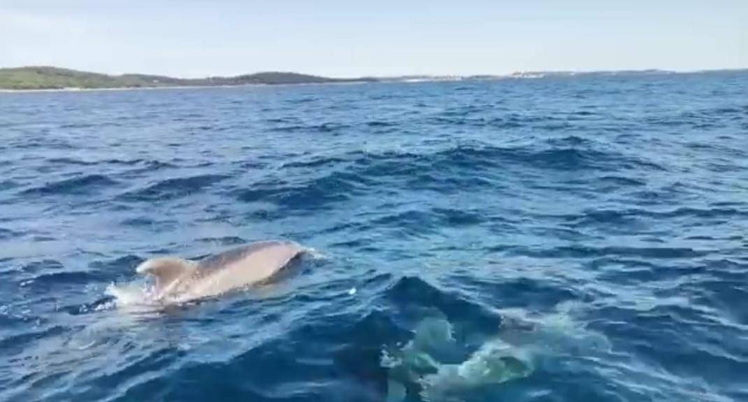 Video: 'Prišli su nam na metar, pratili su naš brod 20 minuta'